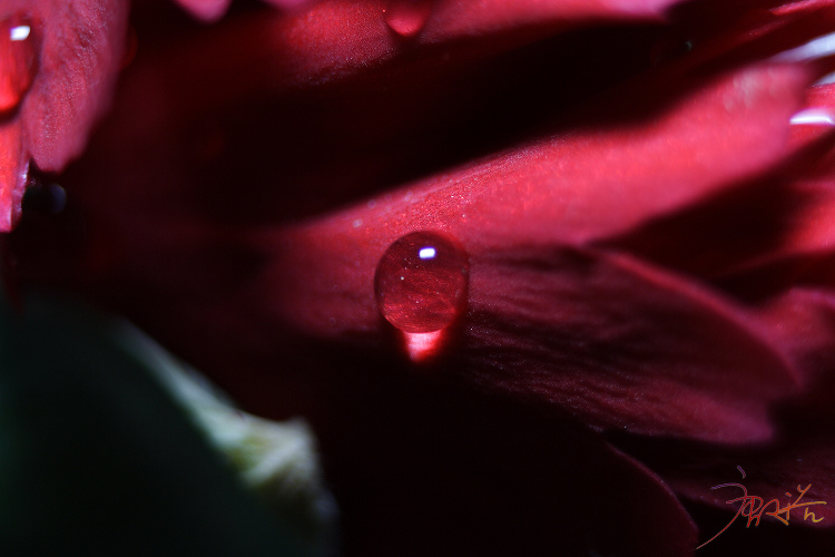 20090604_38269c551e286c471917GKERfiiLARzb.jpg