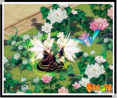 8月暑期大回馈 花籽开启有惊喜
